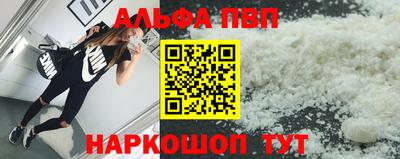 гидра Ставрополь