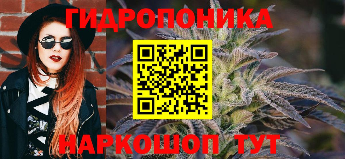 Конопля семена  Канабис план  Октябрьский  Шишки марихуана Ganja  Вход с VPN 
